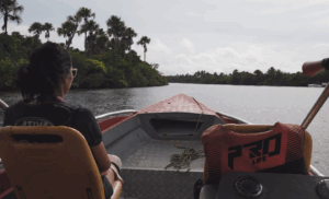 Passeio de Lancha pelo Rio Prequiças