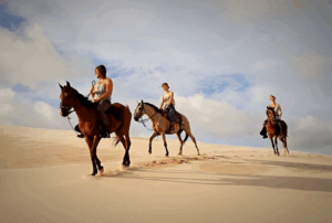 Cavalgada do pôr-do-sol tradicional