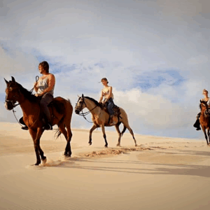 Cavalgada do pôr-do-sol tradicional