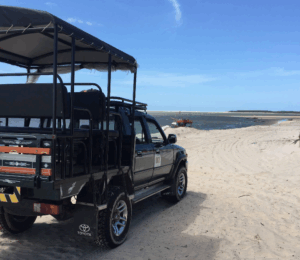 Leia mais sobre o artigo Como chegar em Atins: Sugestões práticas e roteiro detalhado