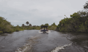 Leia mais sobre o artigo 10 Aventuras Inesquecíveis nos Lençóis Maranhenses