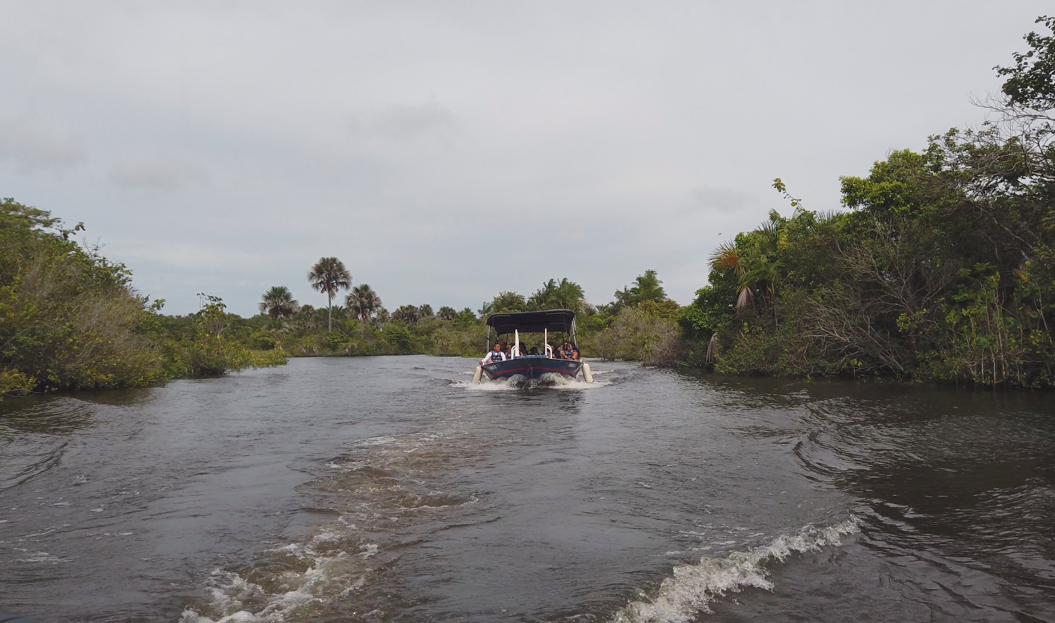 Leia mais sobre o artigo 10 Aventuras Inesquecíveis nos Lençóis Maranhenses